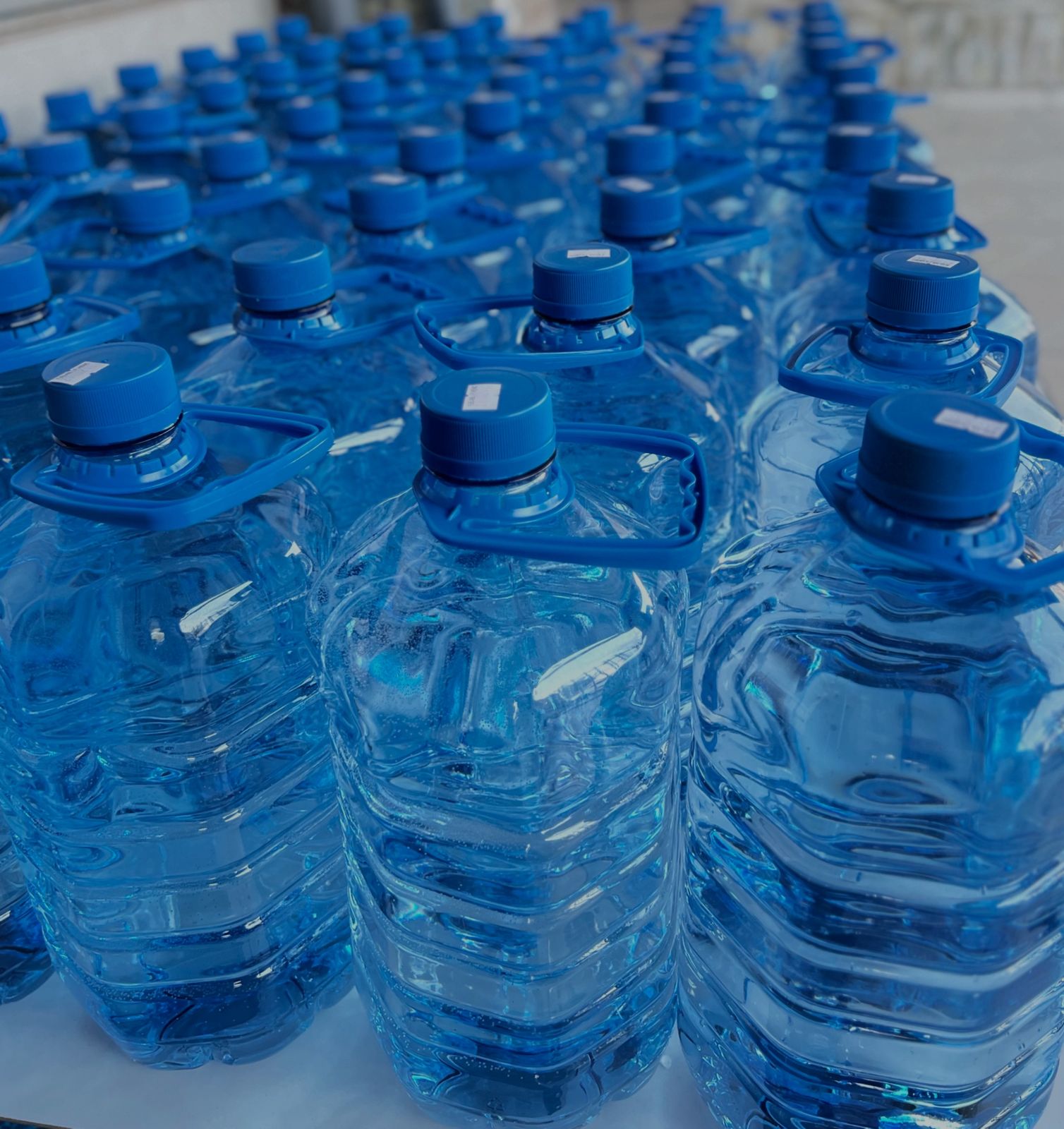 Agua purificada Capesse