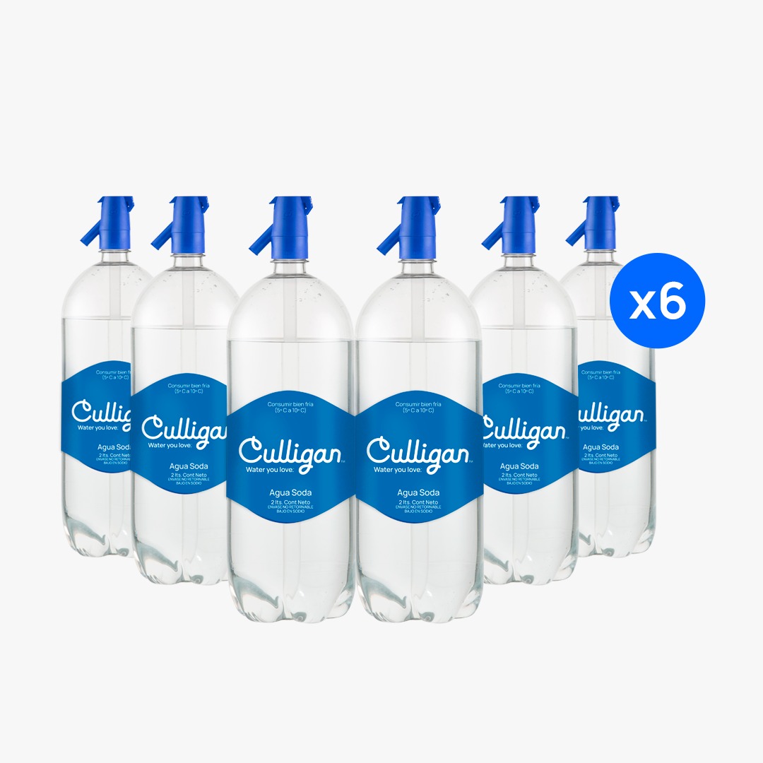 Agua soda 2 litros desechable